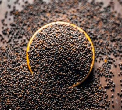 Sarso seeds